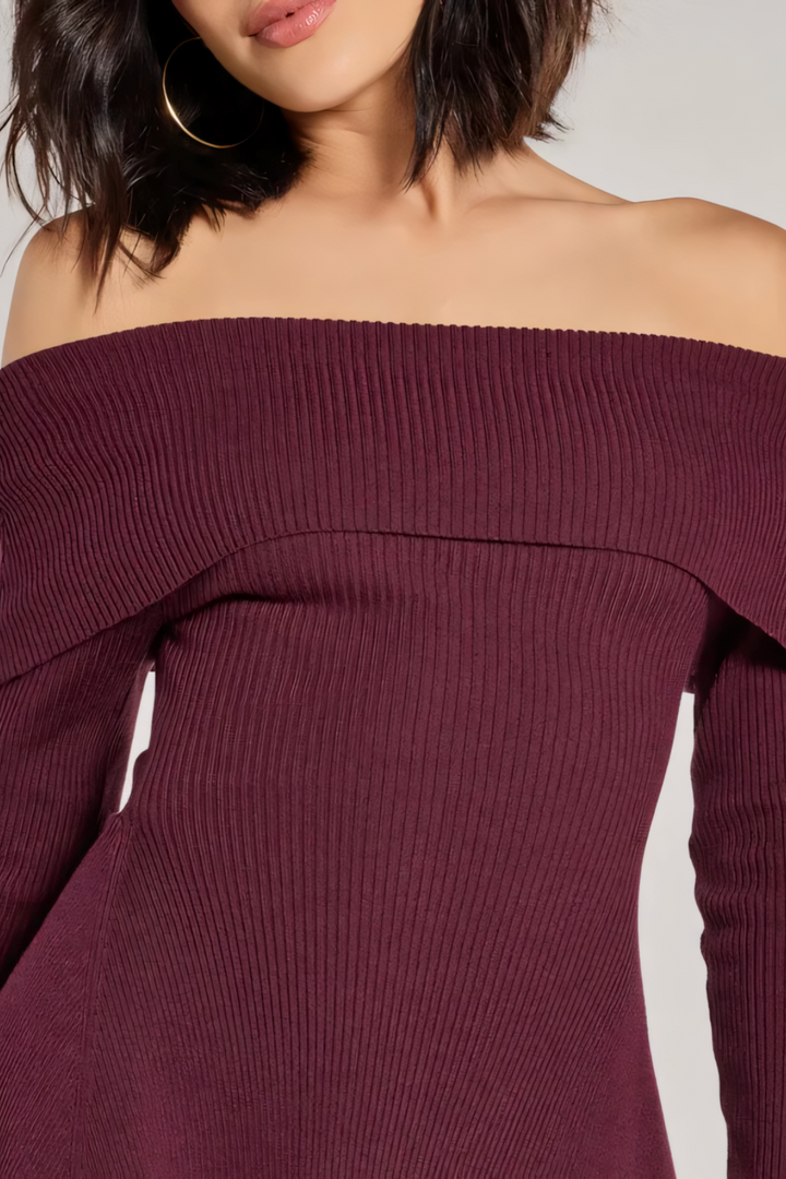 Chic Staple Ribbed Knit Skater Dress